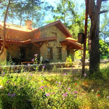 Villa Aegean *